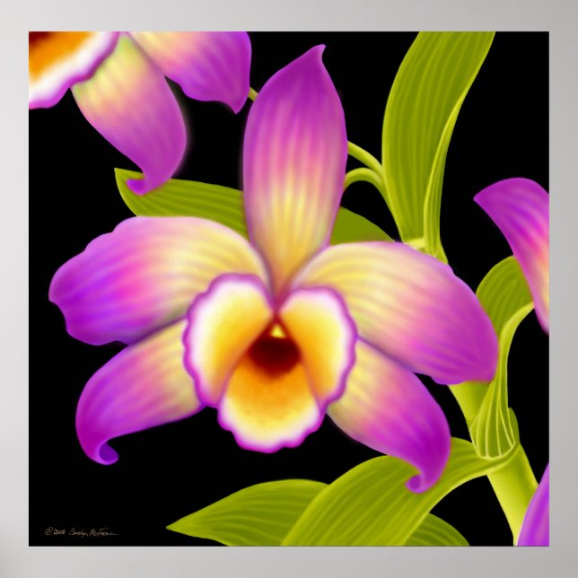 Affiches Imprimer orchidée de Dendrobium Nobile (Devant)