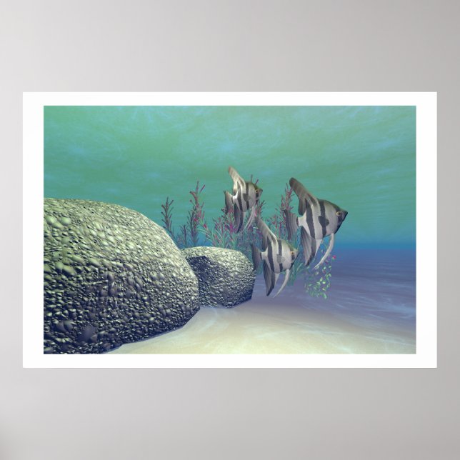AFFICHES IMPRIMER POISSON ANGEL (Devant)