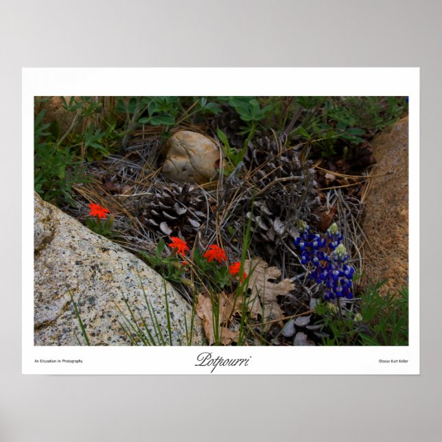 Affiches Imprimer Potpourri (Devant)