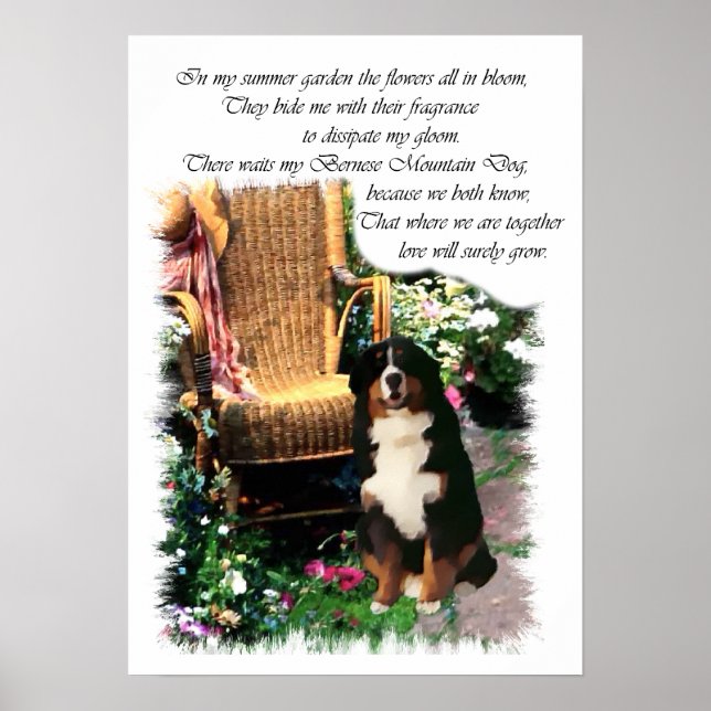 Affiches Imprimerie Bernese Mountain Dog (Devant)