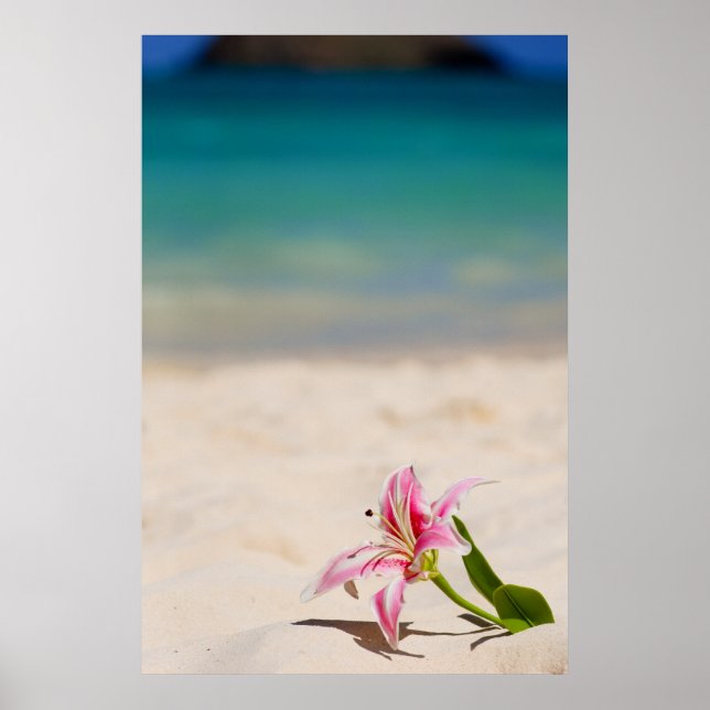 Affiches Imprimerie d'art Beach Lily 24x36 (Devant)