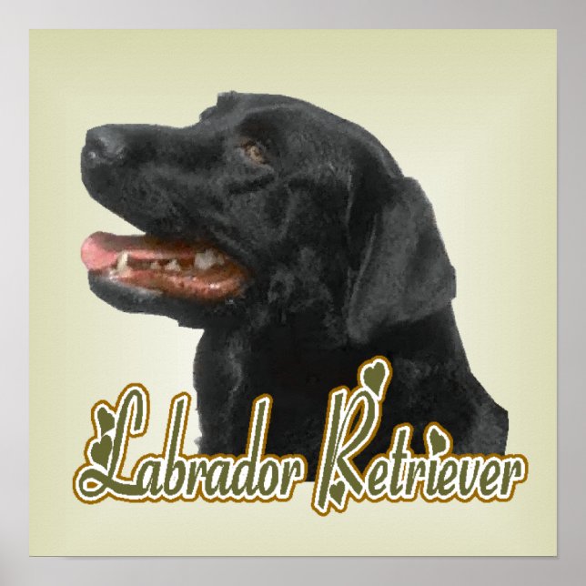 Affiches Imprimerie d'art Labrador Retriever (Devant)