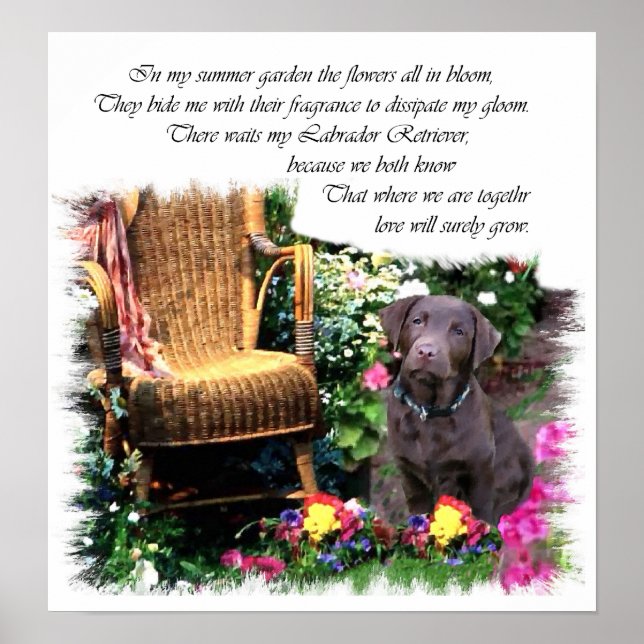 Affiches Imprimerie d'art Labrador Retriever (Devant)