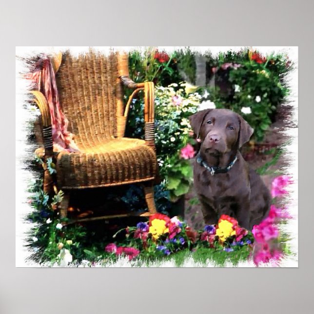 Affiches Imprimerie d'art Labrador Retriever (Devant)
