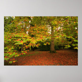 Affiches Imprimerie Woodland