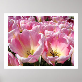 Affiches Imprimés d'art de jardin de fleurs de tulipes ROSE