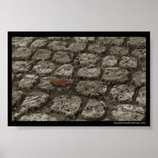 Affiches In-der-welt-sein