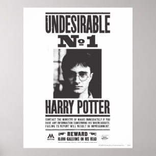 Affiches Indésirable n°1