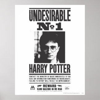 Affiches Indésirable n°1