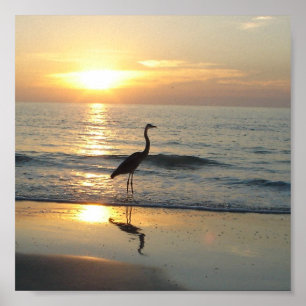 Affiches Indian Rocks Beach Floride Sunset Crane