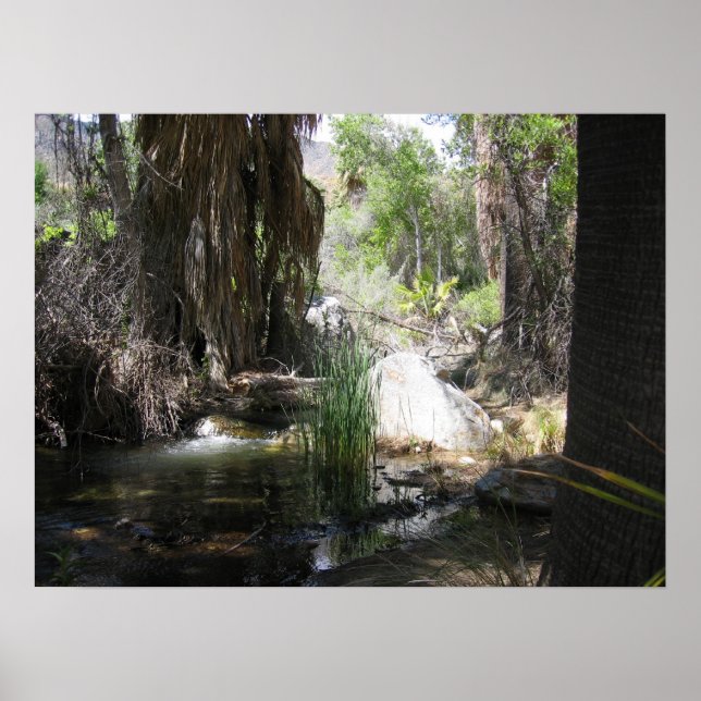 Affiches IndianCanyon (2) (Devant)