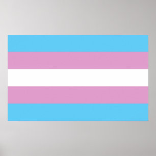 Affiches Indicateur de la tarification trans