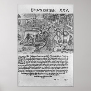 Affiches Indiens de Floride qui chassent des cerfs