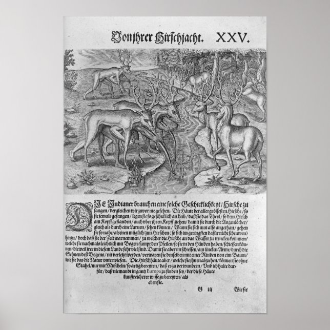 Affiches Indiens de Floride qui chassent des cerfs (Devant)