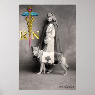 Affiches Infirmière et chien de sauvetage / Emblème de RN C