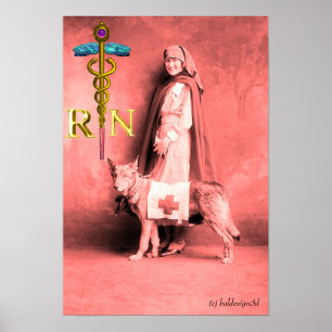 Affiches INFIRMIÈRE ET CHIEN DE SAUVETAGE /Emblème RN Caduc