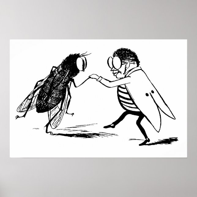 Affiches Insectes vintage dansant; mouche diptère (Devant)