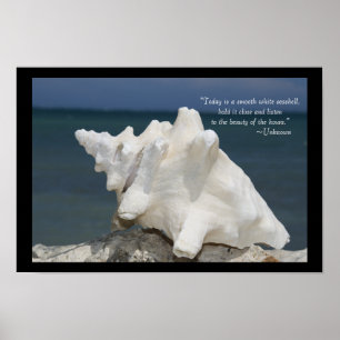 Affiches Inspiration Beach Sea Shell