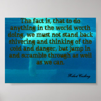 Affiches Inspiration Robert Cushing/ Ours Polaire