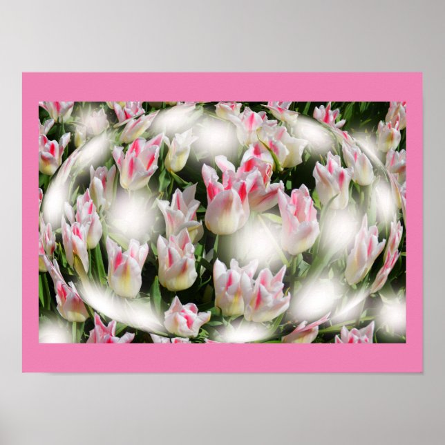 Affiches Inspirations de tulipes (Devant)