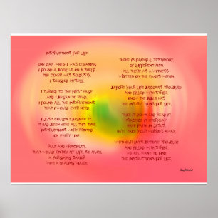 AFFICHES INSTRUCTIONS POUR LA VIE