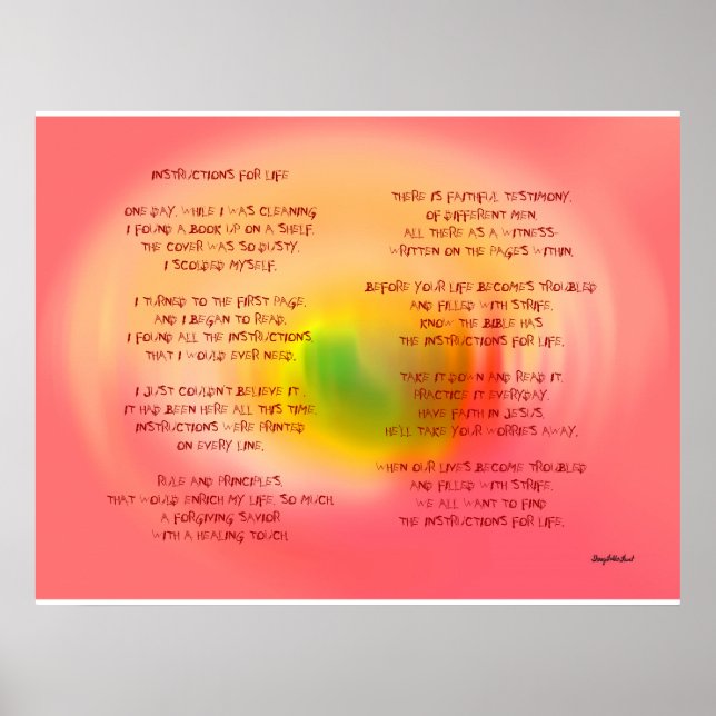 AFFICHES INSTRUCTIONS POUR LA VIE (Devant)