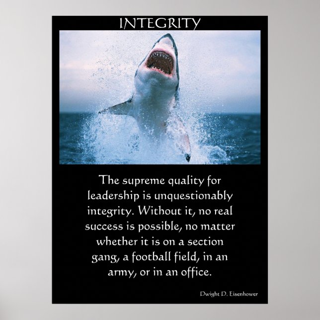 Affiches INTEGRITY (Devant)