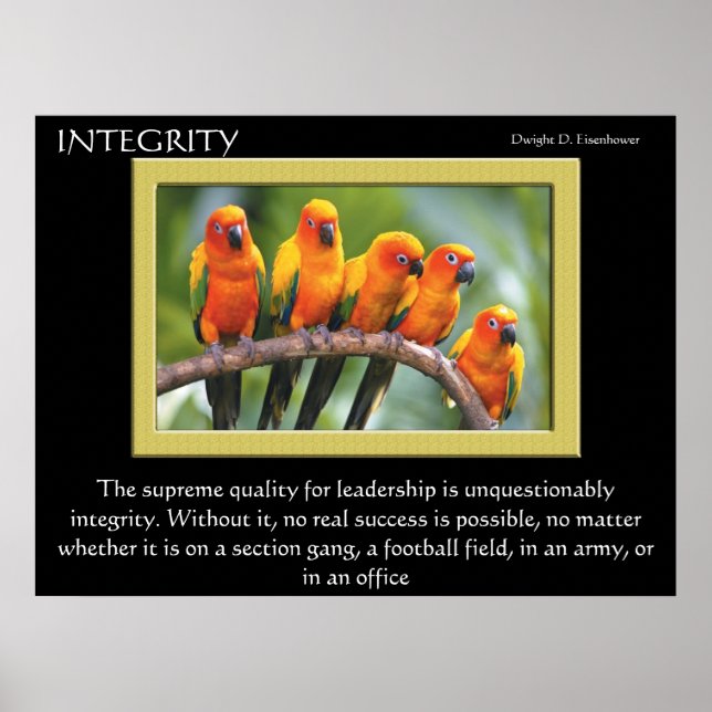 Affiches INTEGRITY (Devant)