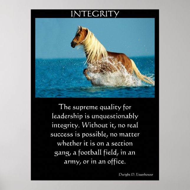 Affiches INTEGRITY (Devant)