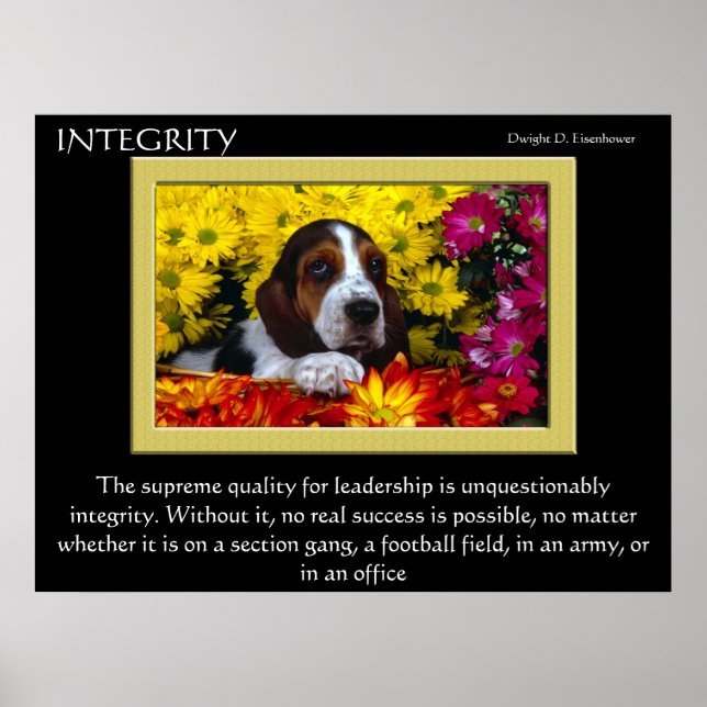 Affiches INTEGRITY 5 (Devant)