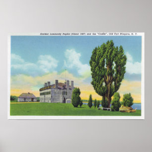 Affiches Intérieur de chapelle de jésuite dans le vieux