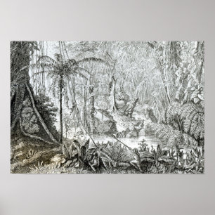 Affiches Intérieur d'une forêt primitive dans les Amazone