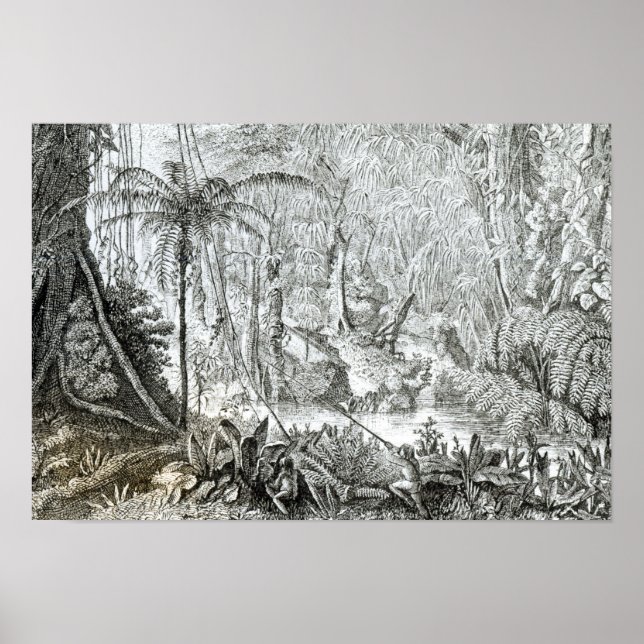 Affiches Intérieur d'une forêt primitive dans les Amazones (Devant)