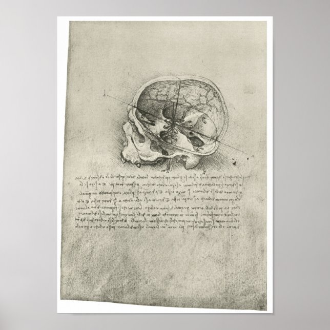 Affiches Interior View of the Skull, Leonardo da Vinci (Devant)