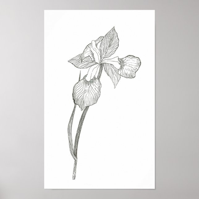 Affiches Iris (Devant)