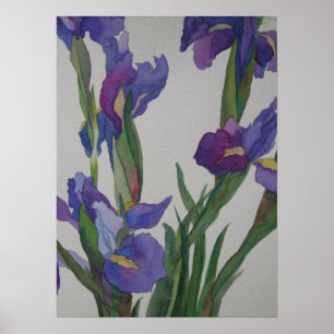 Affiches Iris bleu
