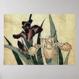 Affiches Iris de Katsushika Hokusai (détail)