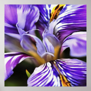 Affiches Iris In Violet Lilac and Purple Botanical Art