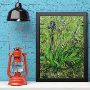 Affiches Iris par Vincent van Gogh, Vintage Garden Fine Art