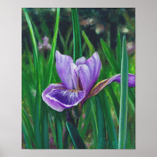 Affiches Iris sauvage (Devant)
