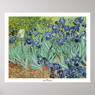 Affiches Irises par Vincent van Gogh
