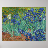 Irises par Vincent Van Gogh 1889
