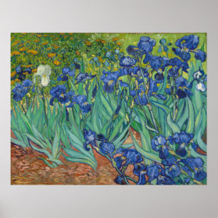 Affiches Irises par Vincent Van Gogh 1889