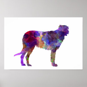 Affiches Irish Wolfhound in watercolor