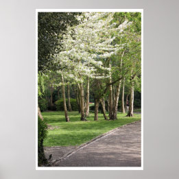 Affiches Irlande du printemps