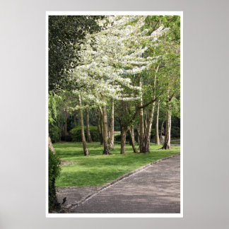 Affiches Irlande du printemps