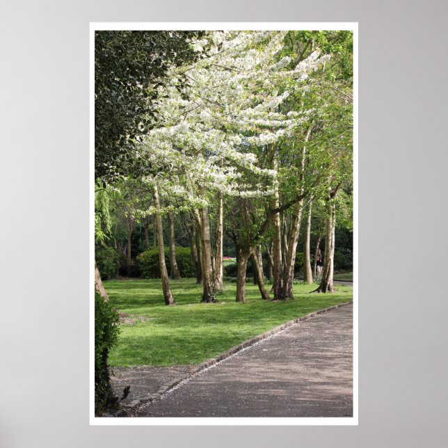 Affiches Irlande du printemps (Devant)