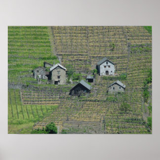 Affiches Italie Vins