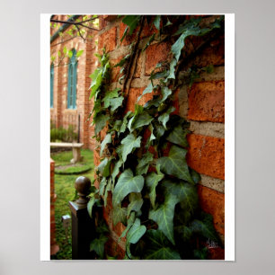 Affiches Ivy & Brick [Print]