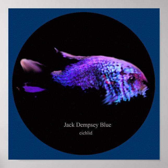 Affiches Jack dempsey bleu (Devant)
